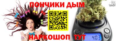 spice Гусев