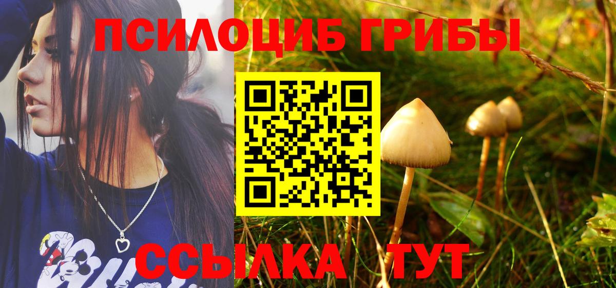 Кинель  Галлюциногенные грибы GOLDEN TEACHER  Вход с VPN 